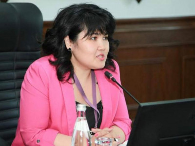 Дина АЙКЕНОВА: Саяси жүйені қайта құрудың алғашқы баспалдағы
