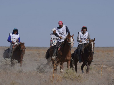 «Ұлы дала жорығы» Түркістанда мәресіне жетеді – Президент