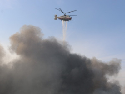 Әулиекөл ауданында орман өртін сөндіруге 3 тікұшақ жұмылдырылды