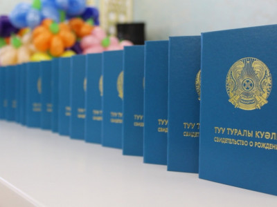 Баланың туу туралы куәлігін енді онлайн алуға болады – ДСМ