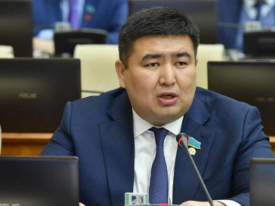 Саяси тұғырнама партияның алдағы жиырма жылдықтағы бағытын анықтайды – депутат