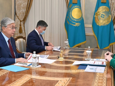 Мемлекет басшысы Есеп комитетінің төрағасын қабылдады