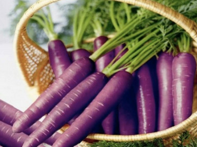 Сәбіздің ең алғаш күлгін түсті болғанын білесіз бе?