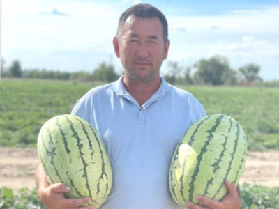 Егін егіп, нәсібін тапқан көпбалалы әке