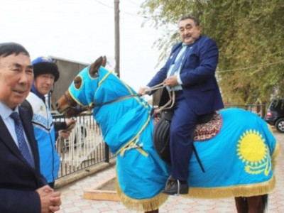Депутатқа Қазақстан туы жабылған жылқы берілген – әкімдік пікірі