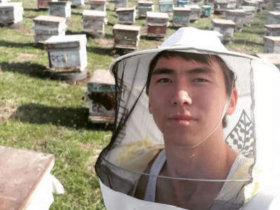 Арадан он сегіз түрлі бал алатын омарташы