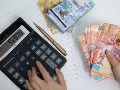 Мәжіліс депутаты АЕК-тен бас тартуды ұсынды