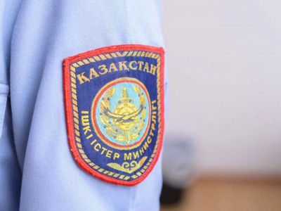 8 жасар қыздың өліміне қатысты министрлік мәлімдеме жасады