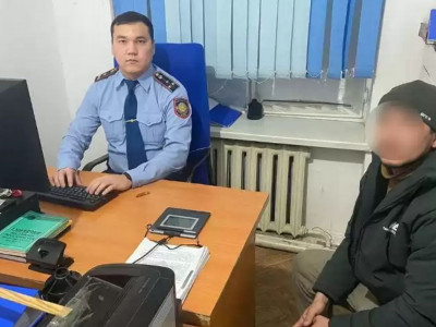 Қызылордада аққуды өлтірген адамның кім екені анықталды