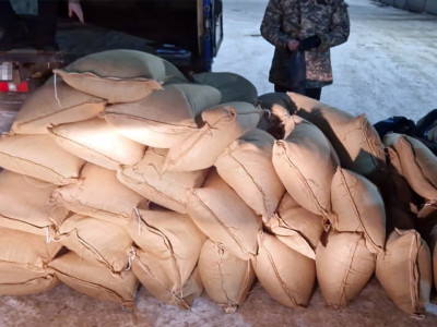 Тамақ өнімдері ретінде Қазақстан аумағына кірген 16 тонна апиын анықталды