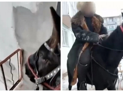 Бесінші қабатқа атпен шыққан қарағандылық қамауға алынуы мүмкін (ВИДЕО)
