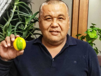 «Лимон олигархы» Сарыағашта тұрады