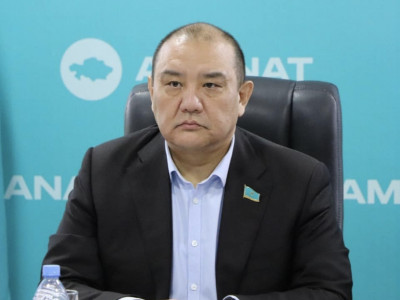 Шаруалардың мәселесі «AMANAT»-тың жанындағы комитетте талқыланды