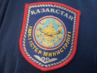 «Жылап мазамды алды»: Жетісу облысындағы сәби өлімі туралы тың дерек
