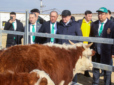 Ауыз су мәселесі – Маңғыстау облысының басты мәселелерінің бірі