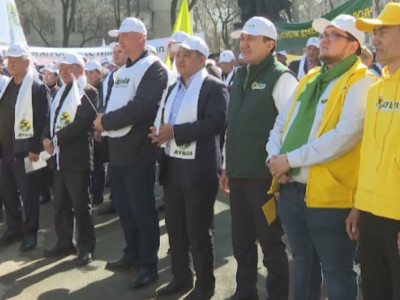 «Ауыл» партиясы Алматы қаласында бейбіт шеру өткізді