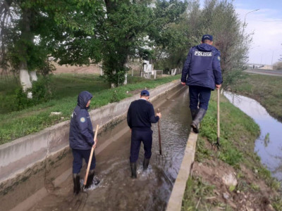 Түркістан облысында 9-сынып оқитын қызды өлтірген күдікті ұсталды