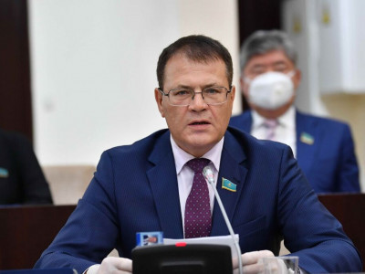 Сенатор: шетелдік бизнесмендер Қазақстан бюджетіне 4 млрд теңгеден астам қарыз