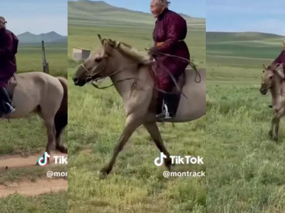 Атқа қарғып мінген 87 жастағы әже жұртты таңғалдырды (ВИДЕО)