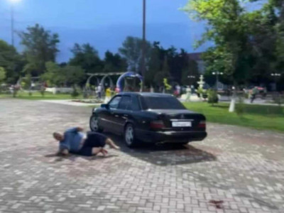 Депутатты көлікпен қасақана қаққан азамат қамалды (ВИДЕО)