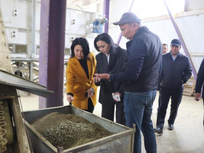 «AMANAT»: шаруалар мемлекеттік қолдау шараларының түйінді мәселелерін талқылады