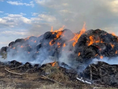 «175 тонна»: БҚО-да шаруа қожалығының қысқа дайындаған шөбі түгі қалмай жанып кетті