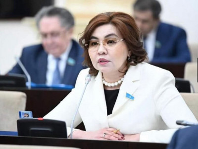 Жолдауда экономиканың құрылымына қатысты реформаның басты бағыттары айтылды - Бибігүл Жексенбай