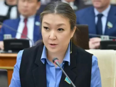 Зәкиева бала жәбірлегендерді жазалайтын арнайы бап енгізуді ұсынды