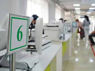 Енді қандас мәртебесін алуға өтінішті ХҚКО қабылдамайды
