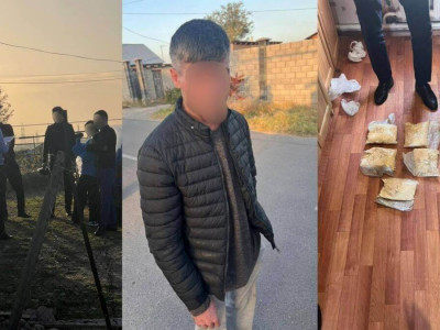 Алматы облысында ер адамнан 3 келіге жуық есірткі тәркіленді