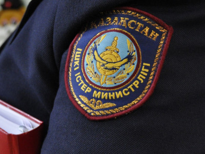 Алматы облысында ер адам 7 жасар баланы зорлады деген күдікке ілінді