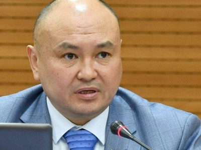 Үкімет 3 баладан көп баласы бар аналарға жалақы төлеуі керек – депутат