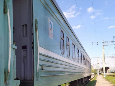 Жүк пойызы 16 бас қойды қағып кетті