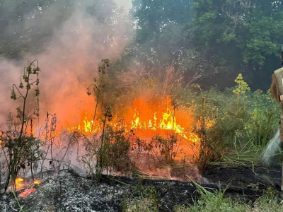 14 адамның өмірін жалмаған Семей орманындағы өртке не себеп болғаны анықталды