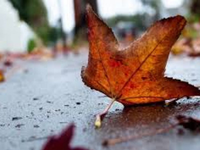 Қазақстанның 11 өңірінде дауылды ескерту жарияланды
