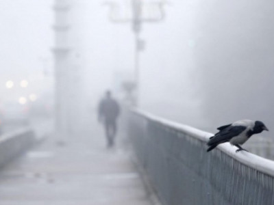 Бүгін елімізде тұман түсіп, жел күшейеді