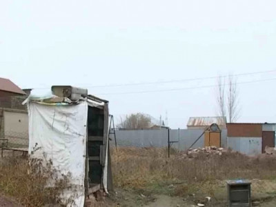 Алматы облысында 9 жастағы қызды белгісіз біреу зорлаған