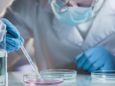 Қазақстандық ғалым радиация өткізбейтін материал ойлап тапты
