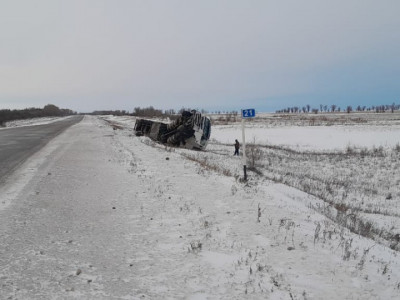 20 тонна жұмыртқа тиелген жүк көлігі тасжолда аударылып қалды
