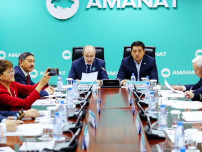 «AMANAT» партиясы жиырмадан астам әкімге сөгіс жариялады