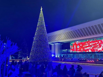 Алматыда бас шыршаның шамы жағылды