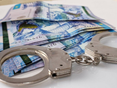 Алматыда аудан әкімінің орынбасары 14 миллион теңге пара алды деген күдікке ілінді