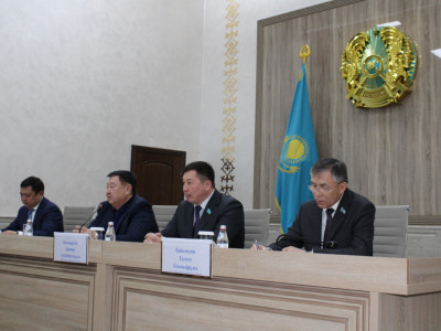 Алматы облысының тұрғындары жайылым мен су мәселесін көтерді