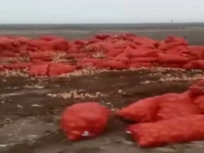 Атыраудағы қоқыс полигонына 20 тонна пияз төгілген