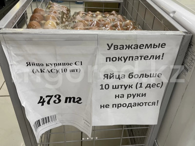 Бір адамға 10 данадан: БҚО-да жұмыртқа дефициті туындады