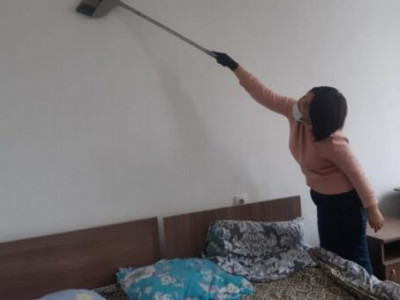 Шымкенттегі дағдарыс орталығына тышқан қаптап кеткен