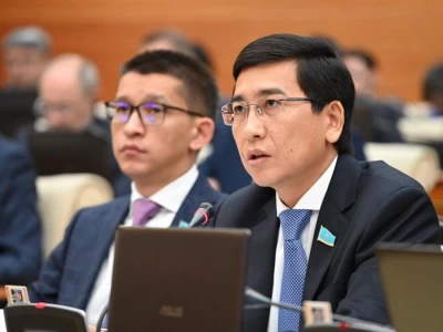 Мәжіліс педофилдерді өмір бойы бас бостандығынан айыруды көздейтін заң жобасын жұмысқа алды