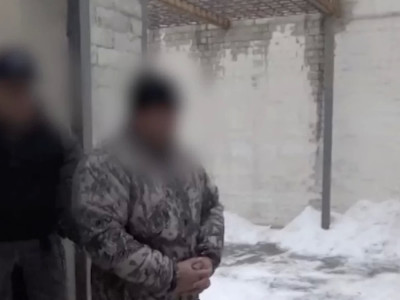 «Ертіс орманы» басшысы қамауға алынды