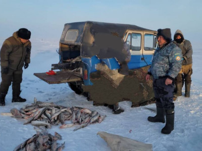 Жетісу облысында браконьерден 120 келіден астам балық тәркіленді