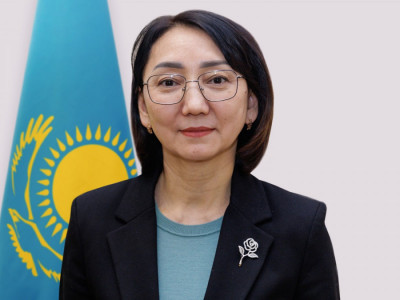 Азаматтық қоғам істері комитетінің төрағасы тағайындалды